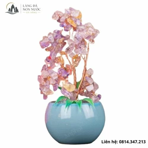 Cây tài lộc để bàn